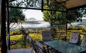 Oppiberg Guest House And Spa